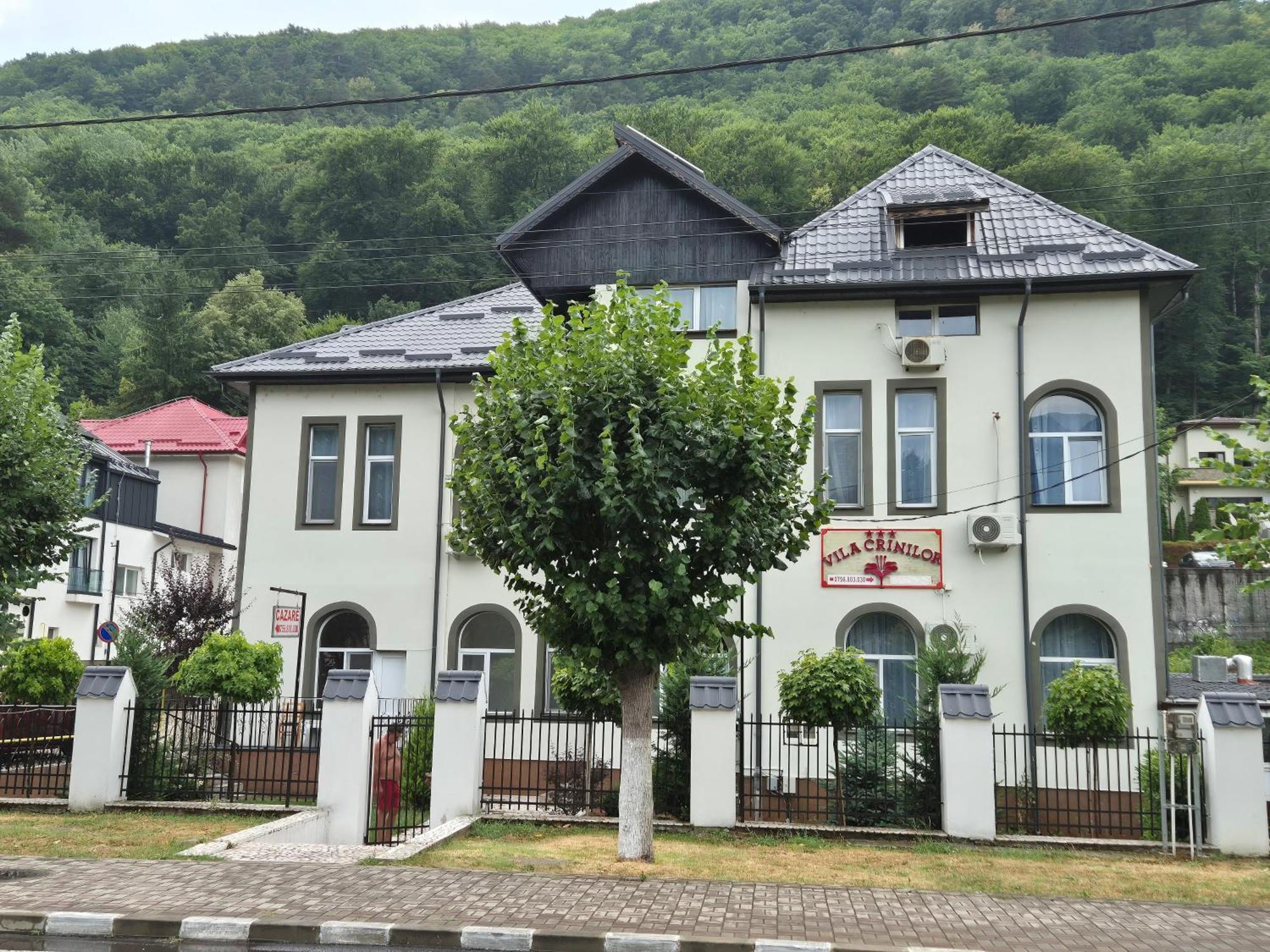 Vila Crinilor Călimăneşti 外观 照片